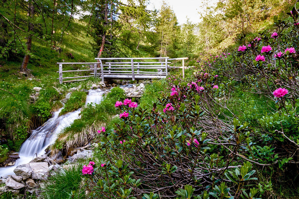 galerie-sommer-impressionen-bauernhof-08