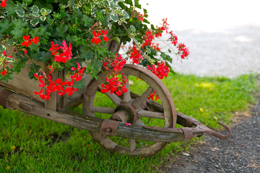 wibmer-farm-south-tyrol-maso-tesido-wibmerhof